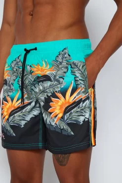 Sundek COSTUME DA BAGNO STAMPA PARADISE JUNGLE -Moda Sconto MAN BOARDSHORT PRINTEDBOARDSHORT MALDIVE M505BDRT3JR 961JR 3