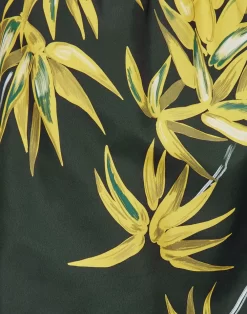 Sundek COSTUME DA BAGNO STAMPA GO FOR THE SUN -Moda Sconto MAN BOARDSHORT PRINTEDBOARDSHORT PINE M505BDRT3GF 551GF 6 406f950f a35d 4c98 90a9 3d2444c5801c